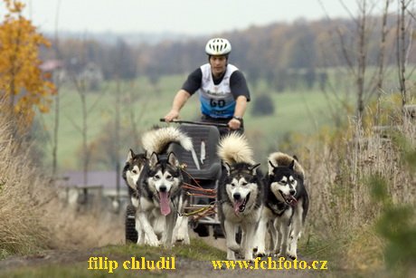 Trnavka 08 - 268.jpg